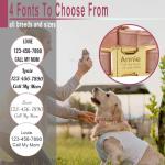 Custom Name Dog Collar with Metal Buckle