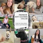 Reflective Personalized Dog Collar with Bells, Red