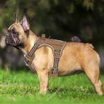 Beebiepet Tactical Dog Harness with ID Tag and Leash