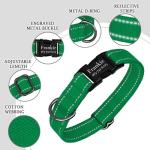 Custom Reflective Dog Collar with Engraved Buckle