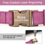 Personalized Soft PU Leather Dog Collar, Small Dogs