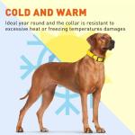 Waterproof Biothane Dog Collar - Easy Care, Lemon Yellow