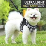 GAMUDA Adjustable Soft Mesh Dog Harness Set