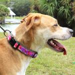 Personalized Reflective Padded Dog Collar - Pink Camo
