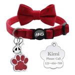 Personalized Breakaway Cat Collar with ID Tag