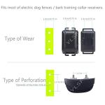 Adjustable Waterproof Dog Collar Strap Replacement