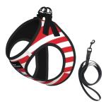 Custom Reflective Dog Harness with Leash and ID