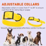 Waterproof Biothane Dog Collar - Easy Care, Lemon Yellow