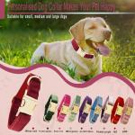 Custom Name Dog Collar with Metal Buckle