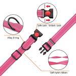 Reflective Dog Collar and Leash Set in Hot Pink