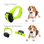 Adjustable Waterproof Dog Collar Strap Replacement