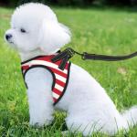 Custom Reflective Dog Harness with Leash and ID