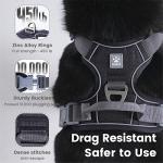 Pawaii No Pull Dog Harness with ID Tag