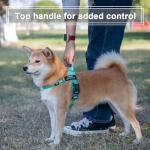 Custom No-Pull Dog Harness with Name and Phone Number