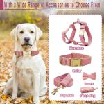 Custom Name Dog Collar with Metal Buckle