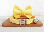 Personalized Cat Collar with Engraved Name and Phone Number