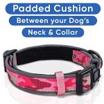 Personalized Reflective Padded Dog Collar - Pink Camo