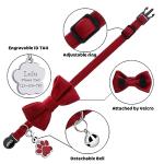 Personalized Breakaway Cat Collar with ID Tag