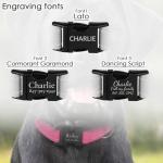 Custom Reflective Dog Collar with Engraved Buckle