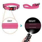 Reflective Dog Collar and Leash Set in Hot Pink
