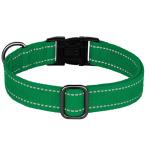 Custom Reflective Dog Collar with Engraved Buckle