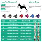 Custom Adjustable No-Pull Dog Harness with Name