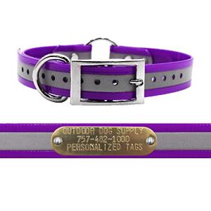 Reflective Waterproof Dog Collar with Custom Nameplate