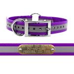 Reflective Waterproof Dog Collar with Custom Nameplate