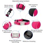 Personalized Reflective Dog Collar with ID Tag