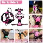 Adjustable No Pull Dog Harness and Leash Set