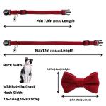 Personalized Breakaway Cat Collar with ID Tag