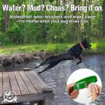 Reflective Waterproof Dog Collar with Custom Nameplate