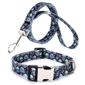 Purple Skull Collar and Leash Set for Pets