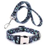 Purple Skull Collar and Leash Set for Pets