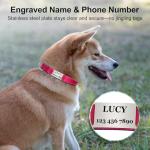 Personalized Reflective Dog Collar with ID Tag