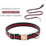 Adjustable Stylish Dog Collar and Leash Set