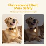 Glow in the Dark QR Code Pet ID Tag