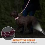 Taglory 6 FT Reflective Rope Dog Leash