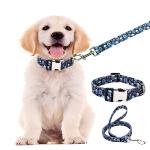 Purple Skull Collar and Leash Set for Pets