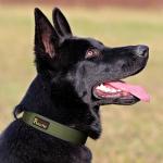Reflective Adjustable Tactical Dog Collar in Ranger Green