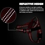 Personalized No-Pull Dog Harness with Patches