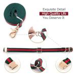Adjustable Stylish Dog Collar and Leash Set