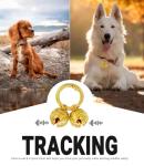 Gold Plated Dog Bells for Collars - 2 Pack