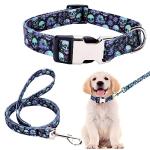 Purple Skull Collar and Leash Set for Pets