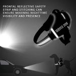 Moonpet Custom No Pull Dog Harness and Leash Set