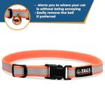 Personalized Reflective Breakaway Cat Collar - Black
