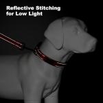 Personalized Reflective Dog Collar with ID Tag