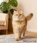 Gold Plated Dog Bells for Collars - 2 Pack