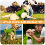 Heavy-Duty Reflective Tactical Dog Harness for Large Dogs