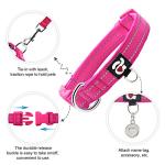 2 Pack Reflective Neoprene Dog Collars for Small Dogs